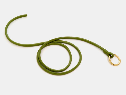 Snake - Cactus Green